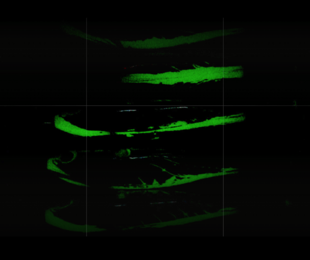 레인보우 홀로그램 야광 모습 상세 이미지